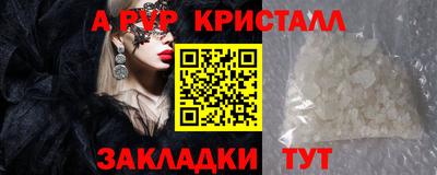 стафф Гусев