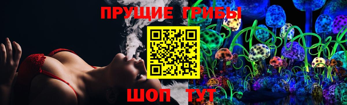 Галлюциногенные грибы Magic Shrooms  купить   Канск  Галлюциногенные грибы Magic Shrooms  Вход с VPN 