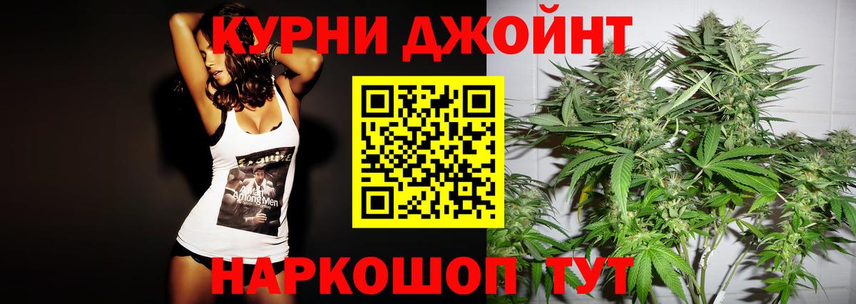 Каннабис планчик Канск