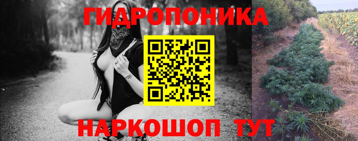 Шишки марихуана VHQ  Вход с VPN  Канабис Ganja  Канск 